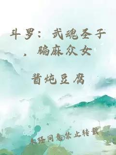 斗羅：武魂圣子，騙麻眾女