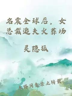名震全球后，女總裁追夫火葬場(chǎng)