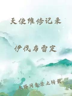 天使維修記錄