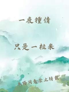 一夜鍾情
