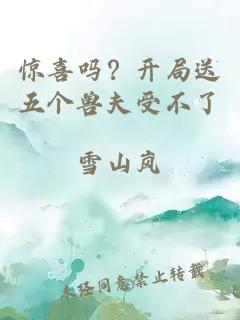 驚喜嗎？開局送五個獸夫受不了