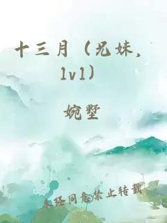 十三月（兄妹，1v1）