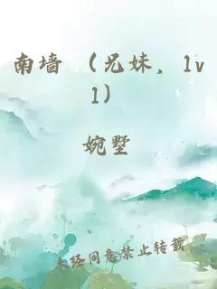 南墻 （兄妹，1v1）