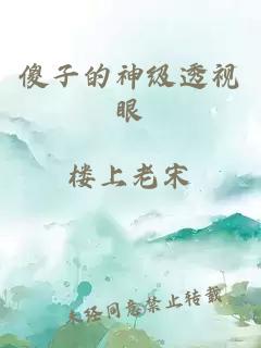 傻子的神級(jí)透視眼