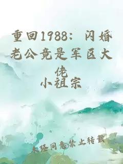重回1988：閃婚老公竟是軍區(qū)大佬