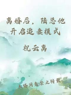 離婚后，陸總他開啟追妻模式