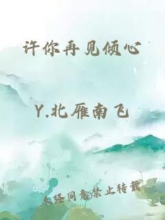 許你再見傾心