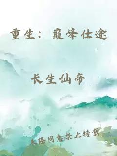 重生：巔峰仕途