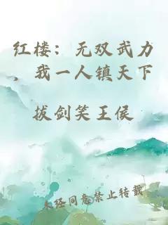 紅樓：無(wú)雙武力，我一人鎮(zhèn)天下