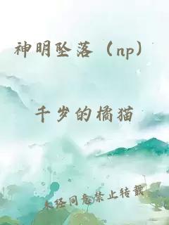 神明墜落（np）