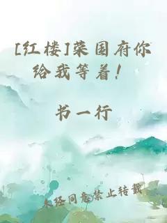 [紅樓]榮國府你給我等著！