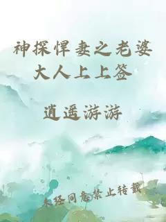 神探悍妻之老婆大人上上簽
