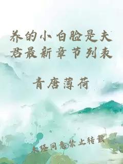 養(yǎng)的小白臉是夫君最新章節(jié)列表