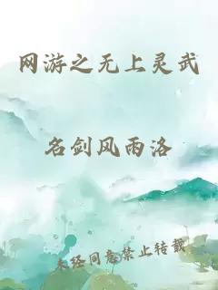 網(wǎng)游之無(wú)上靈武