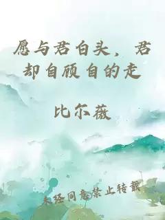 愿與君白頭，君卻自顧自的走