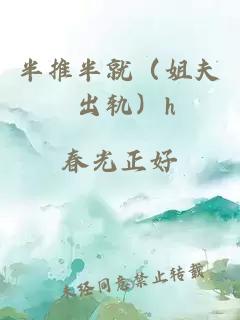 半推半就（姐夫 出軌）h