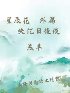 星辰花　外篇　　失憶日後談