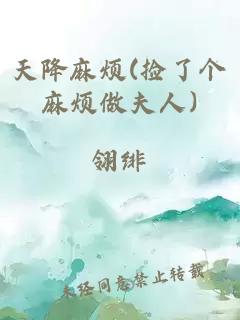 天降麻煩(撿了個麻煩做夫人)