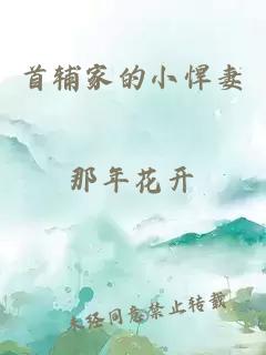 首輔家的小悍妻
