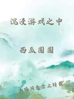 沉浸游戲之中