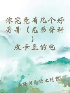 你究竟有幾個(gè)好哥哥（兄弟骨科）