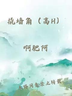 撬墻角（高H）