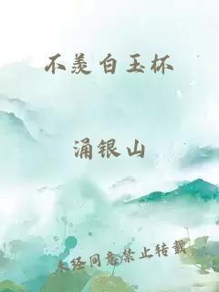 不羨白玉杯
