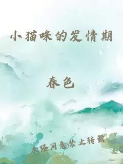 小貓咪的發(fā)情期