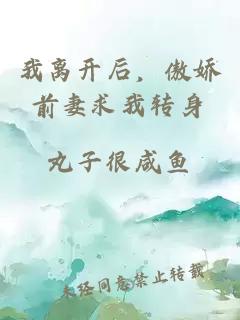 我離開后，傲嬌前妻求我轉(zhuǎn)身