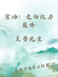 官場(chǎng)：走向權(quán)力巔峰