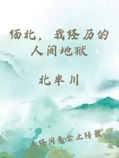 緬北，我經(jīng)歷的人間地獄