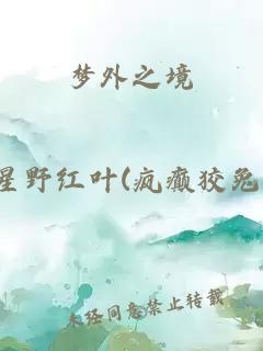 夢(mèng)外之境