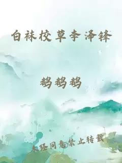 白襪校草李澤鋒