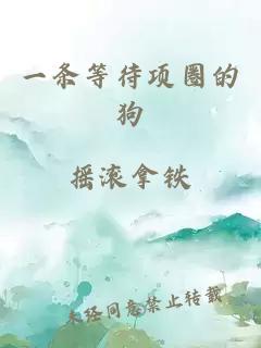 一條等待項圈的狗