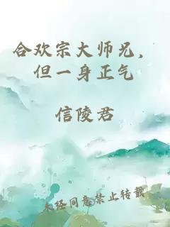 合歡宗大師兄，但一身正氣