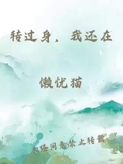 轉(zhuǎn)過身，我還在