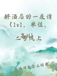 醉酒后的一夜情（1v1，單性，高H）