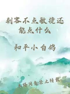 刺客不點敏捷還能點什么