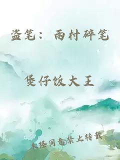 盜筆：雨村碎筆