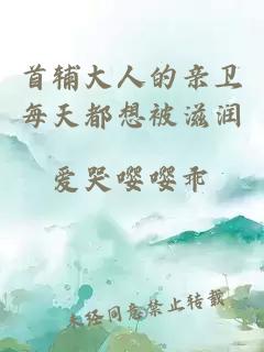 首輔大人的親衛(wèi)每天都想被滋潤(rùn)
