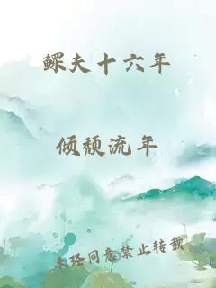 鰥夫十六年
