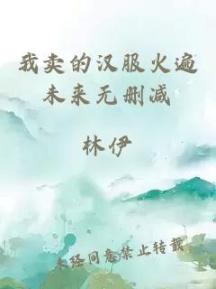 我賣的漢服火遍未來無刪減