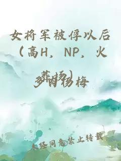 女將軍被俘以后（高H，NP，火葬場）