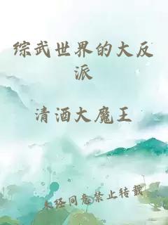 綜武世界的大反派