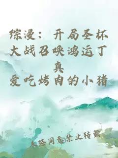 綜漫：開局圣杯大戰(zhàn)召喚鴻運丁真