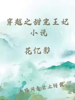 穿越之甜寵王妃 小說
