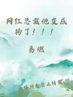 網(wǎng)紅總裁他變成狗了?。?！