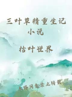 三葉草精重生記小說