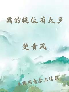 我的模板有點多