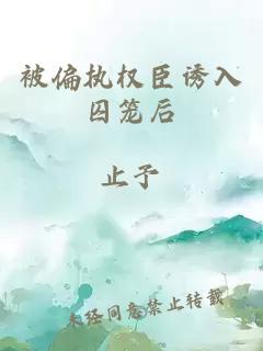 被偏執(zhí)權臣誘入囚籠后